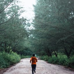 A jogger surrounded by trees while running outside.