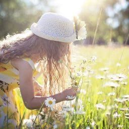 Young girl picking flowers in a meadow.